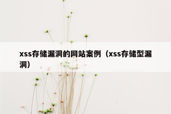 xss存储漏洞的网站案例（xss存储型漏洞）