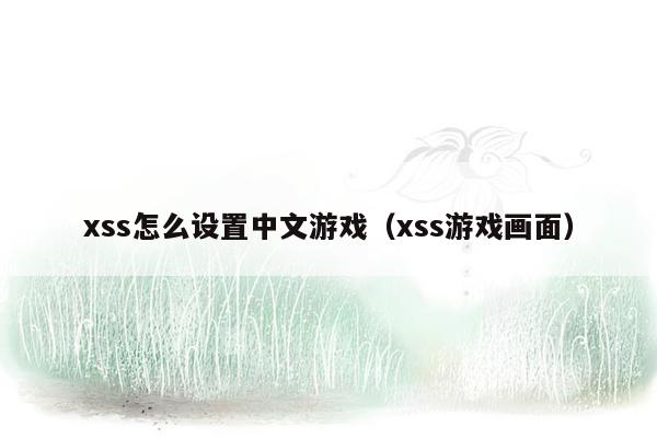 xss怎么设置中文游戏（xss游戏画面）