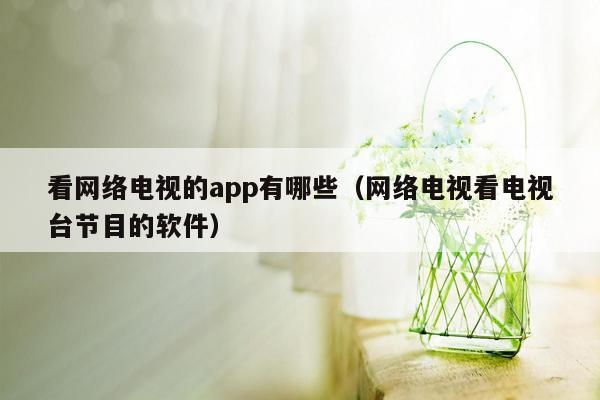 看网络电视的app有哪些（网络电视看电视台节目的软件）