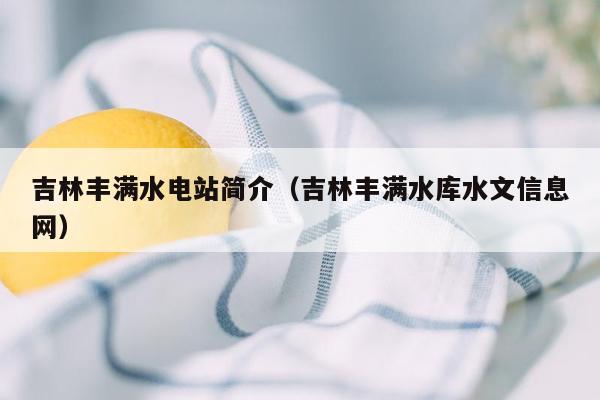 吉林丰满水电站简介（吉林丰满水库水文信息网）