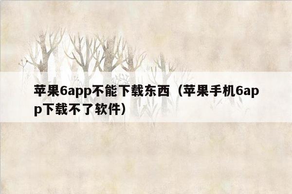 苹果6app不能下载东西（苹果手机6app下载不了软件）