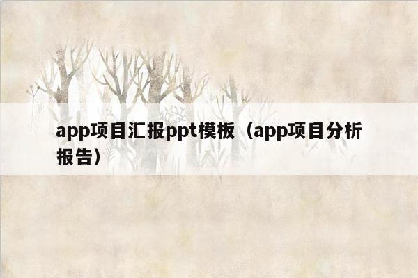 app项目汇报ppt模板（app项目分析报告）