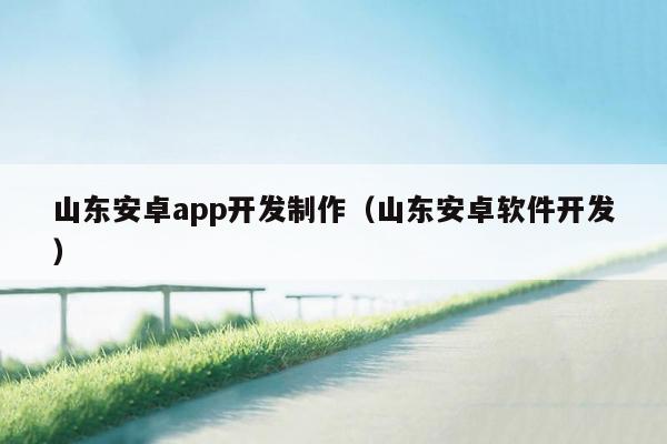 山东安卓app开发制作（山东安卓软件开发）