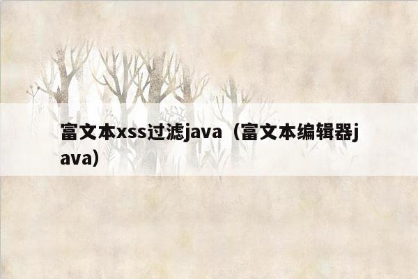 富文本xss过滤java（富文本编辑器java）