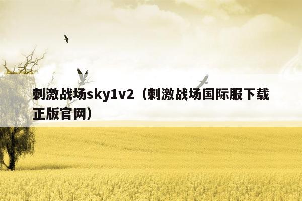 刺激战场sky1v2（刺激战场国际服下载正版官网）