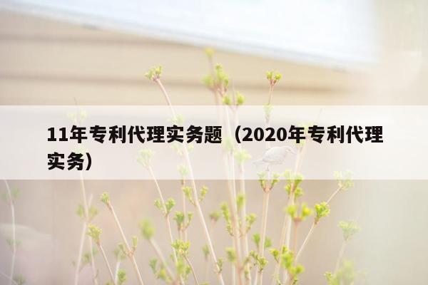 11年专利代理实务题（2020年专利代理实务）