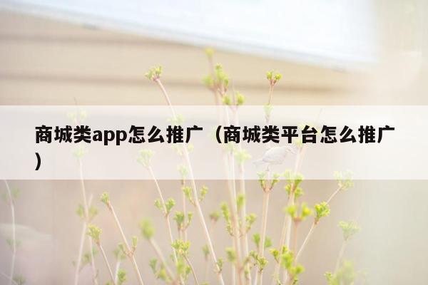 商城类app怎么推广（商城类平台怎么推广）