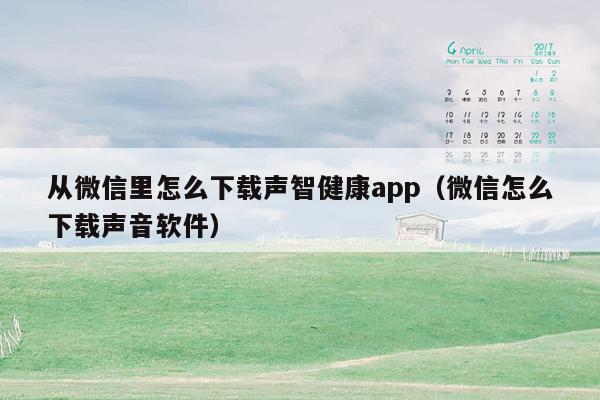 从微信里怎么下载声智健康app（微信怎么下载声音软件）