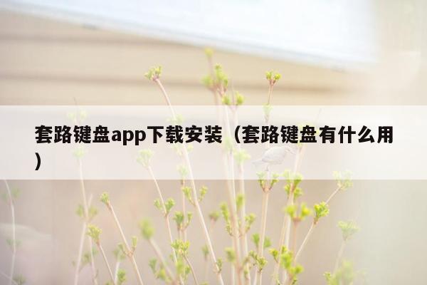 套路键盘app下载安装（套路键盘有什么用）