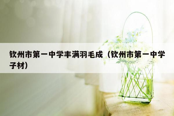 钦州市第一中学丰满羽毛成（钦州市第一中学子材）