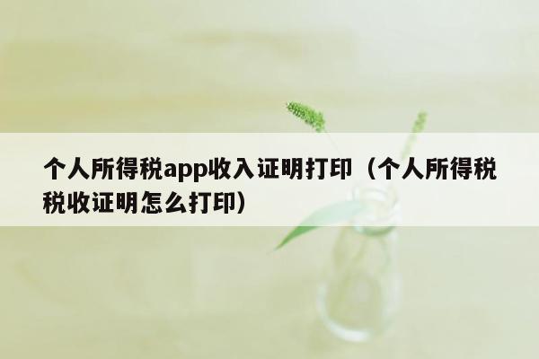 个人所得税app收入证明打印（个人所得税税收证明怎么打印）