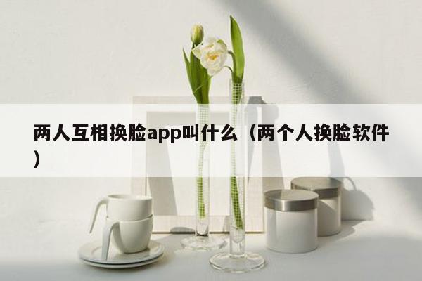 两人互相换脸app叫什么（两个人换脸软件）