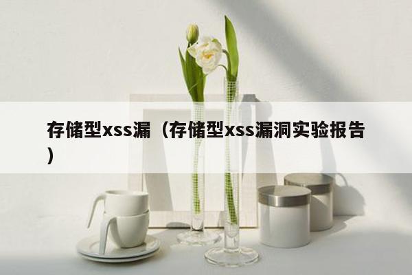 存储型xss漏（存储型xss漏洞实验报告）