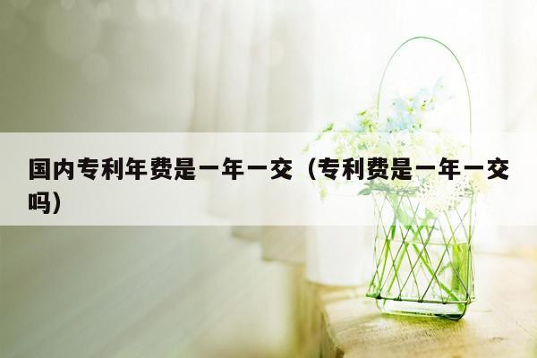 国内专利年费是一年一交（专利费是一年一交吗）