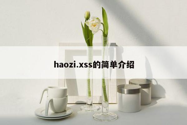 haozi.xss的简单介绍