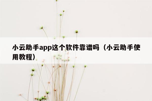 小云助手app这个软件靠谱吗（小云助手使用教程）