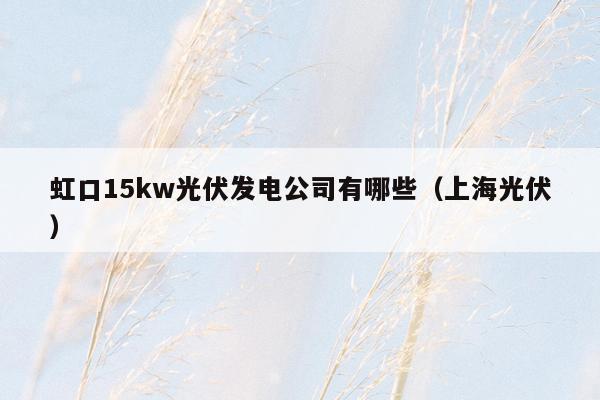 虹口15kw光伏发电公司有哪些（上海光伏）