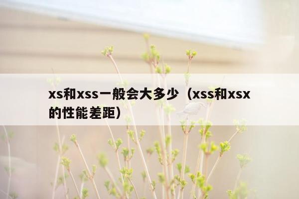 xs和xss一般会大多少（xss和xsx的性能差距）