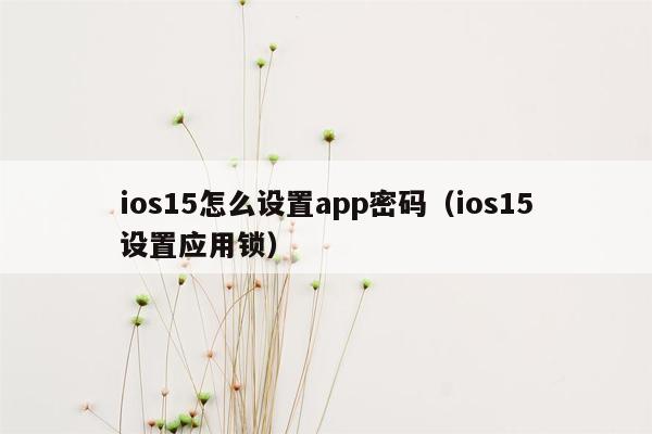 ios15怎么设置app密码（ios15设置应用锁）