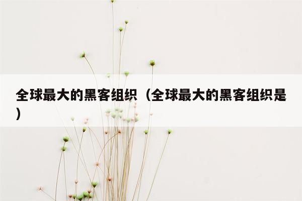 全球最大的黑客组织（全球最大的黑客组织是）