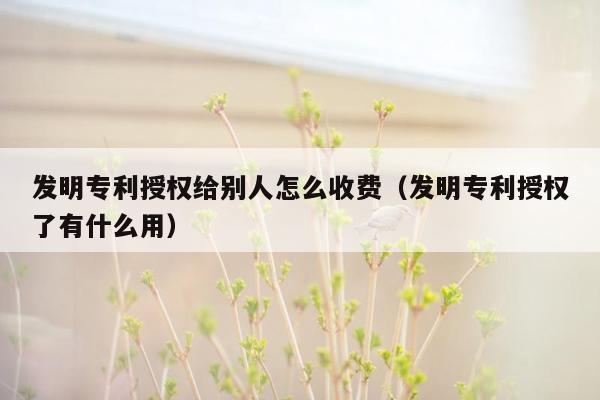 发明专利授权给别人怎么收费（发明专利授权了有什么用）