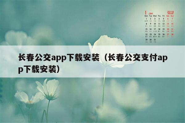 长春公交app下载安装（长春公交支付app下载安装）