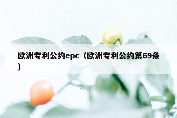 欧洲专利公约epc（欧洲专利公约第69条）