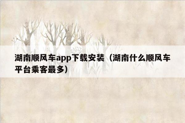 湖南顺风车app下载安装（湖南什么顺风车平台乘客最多）