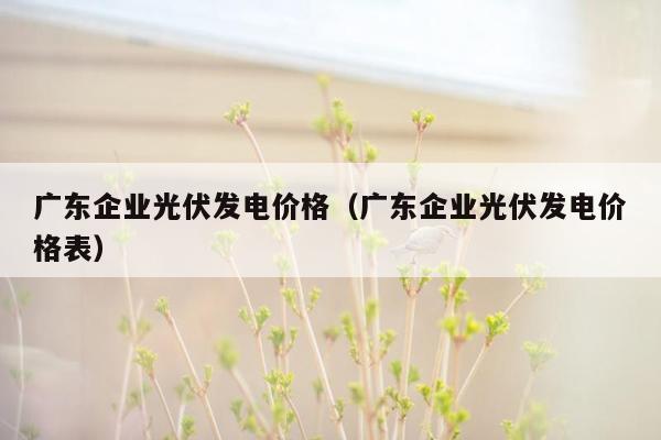 广东企业光伏发电价格（广东企业光伏发电价格表）