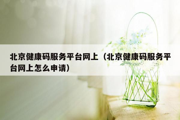 北京健康码服务平台网上（北京健康码服务平台网上怎么申请）