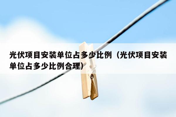 光伏项目安装单位占多少比例（光伏项目安装单位占多少比例合理）