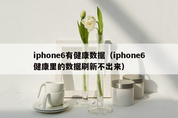 iphone6有健康数据（iphone6健康里的数据刷新不出来）