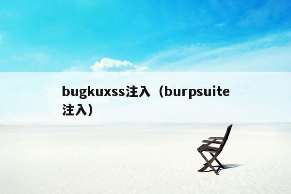 bugkuxss注入（burpsuite注入）