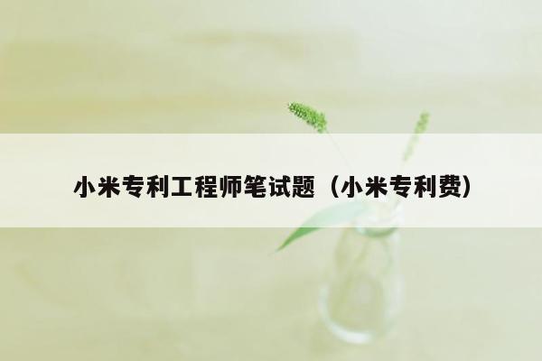 小米专利工程师笔试题（小米专利费）