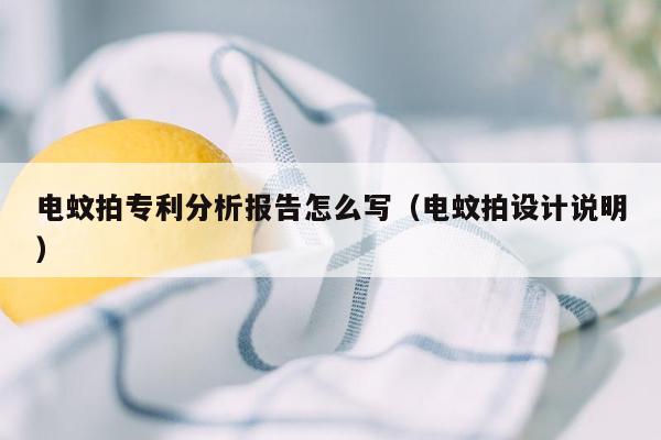 电蚊拍专利分析报告怎么写（电蚊拍设计说明）