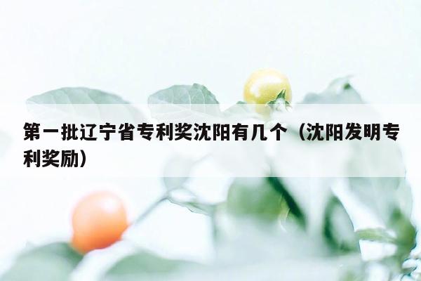 第一批辽宁省专利奖沈阳有几个（沈阳发明专利奖励）