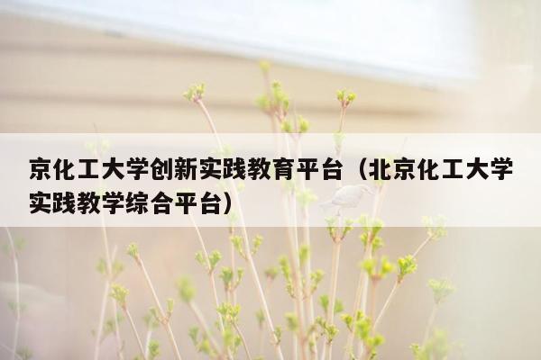 京化工大学创新实践教育平台（北京化工大学实践教学综合平台）