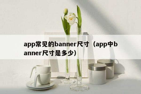 app常见的banner尺寸（app中banner尺寸是多少）