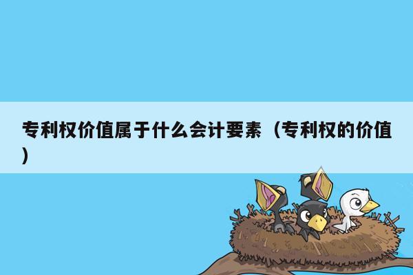 专利权价值属于什么会计要素（专利权的价值）