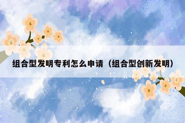 组合型发明专利怎么申请（组合型创新发明）